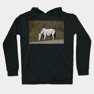 Wild Horse Hoodie